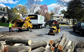 Best Lawn Pest Prevention  in Fair Grove, MO