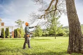 Best Weed Control  in Fair Grove, MO